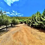 Nyaraló Estate Tsiati
