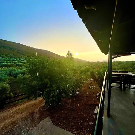 Estate Tsiati Pirgiotika