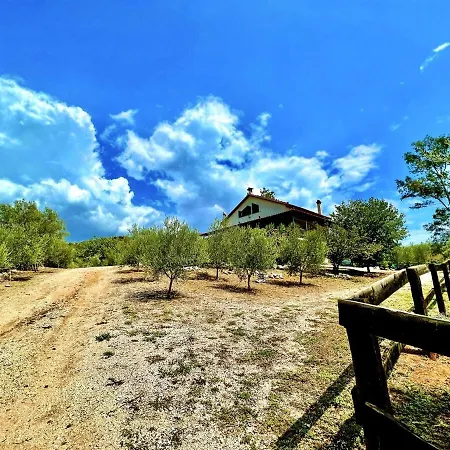 Estate Tsiati Semesterbostad *