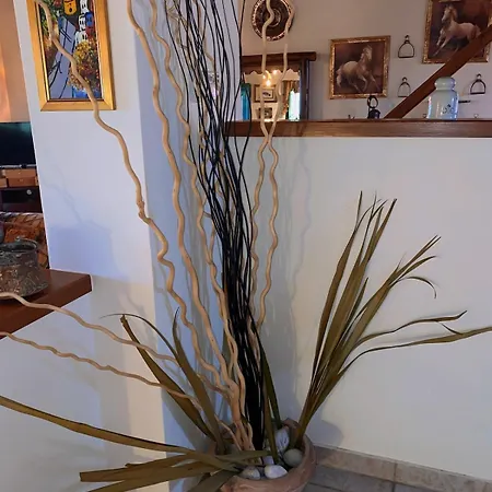 Dom wakacyjny Estate Tsiati Pirgiotika