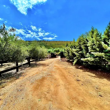 Dom wakacyjny Estate Tsiati