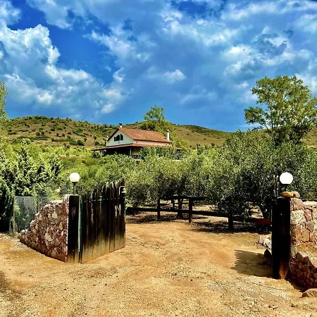 Dom wakacyjny Estate Tsiati