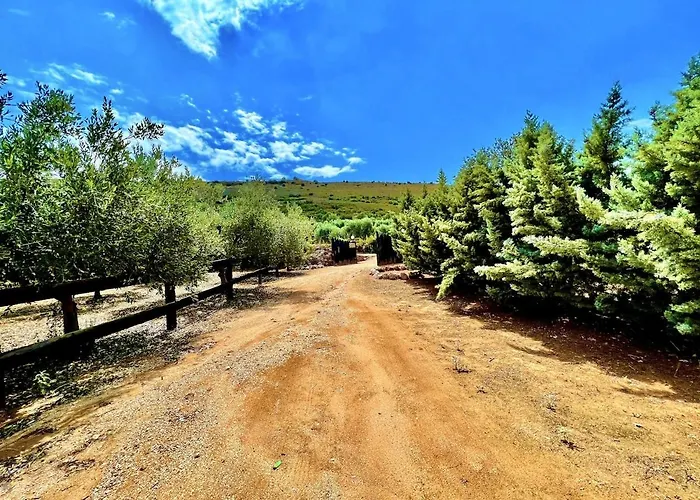 펜션 Estate Tsiati